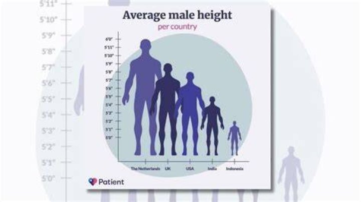 American male average heights by race: