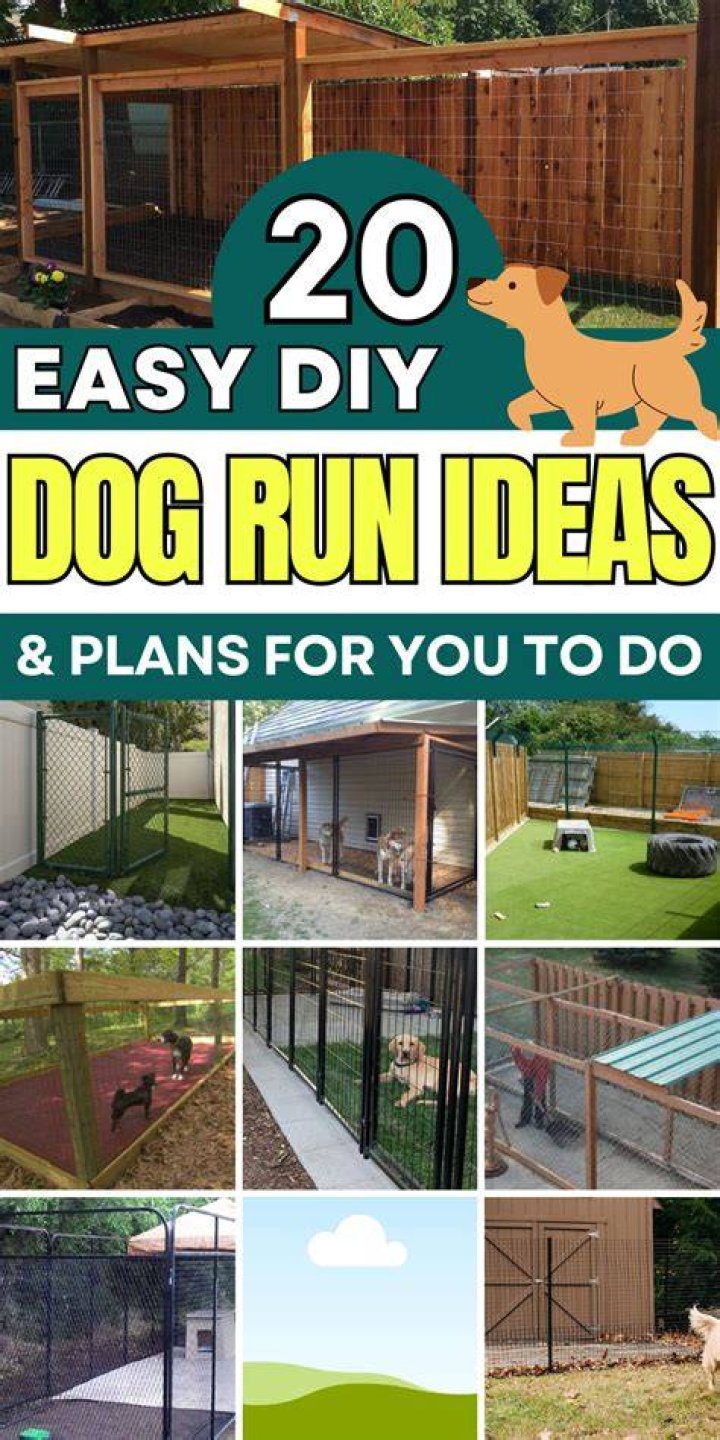 diy dog run