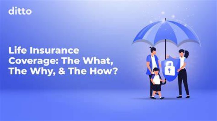 Life insurance, the safety of future