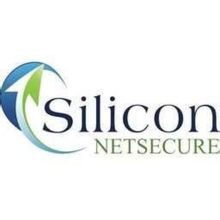 Network Security Silicon