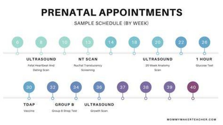 prenatal appointment schedule