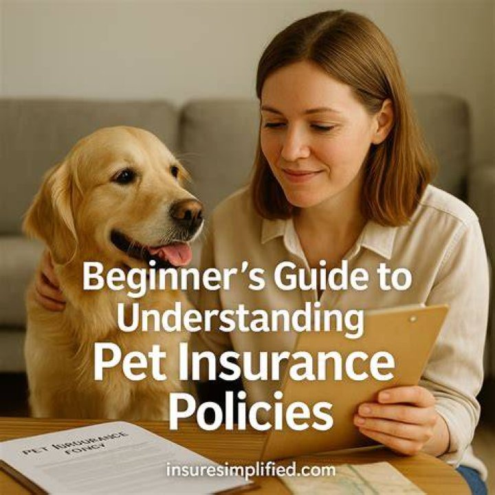 The Pet Insurance Policies and Coverage