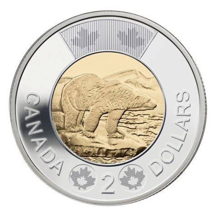 toonie coin