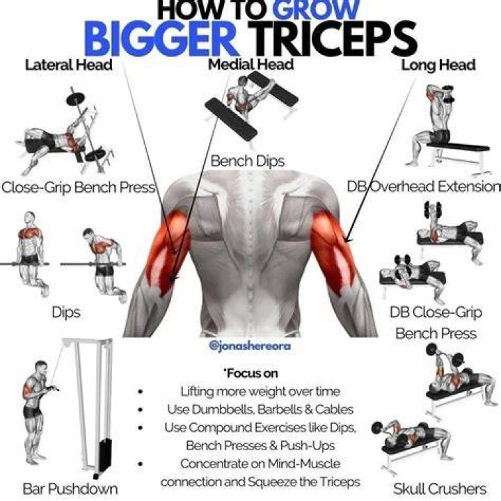Tricep Exercises and Workouts For Men